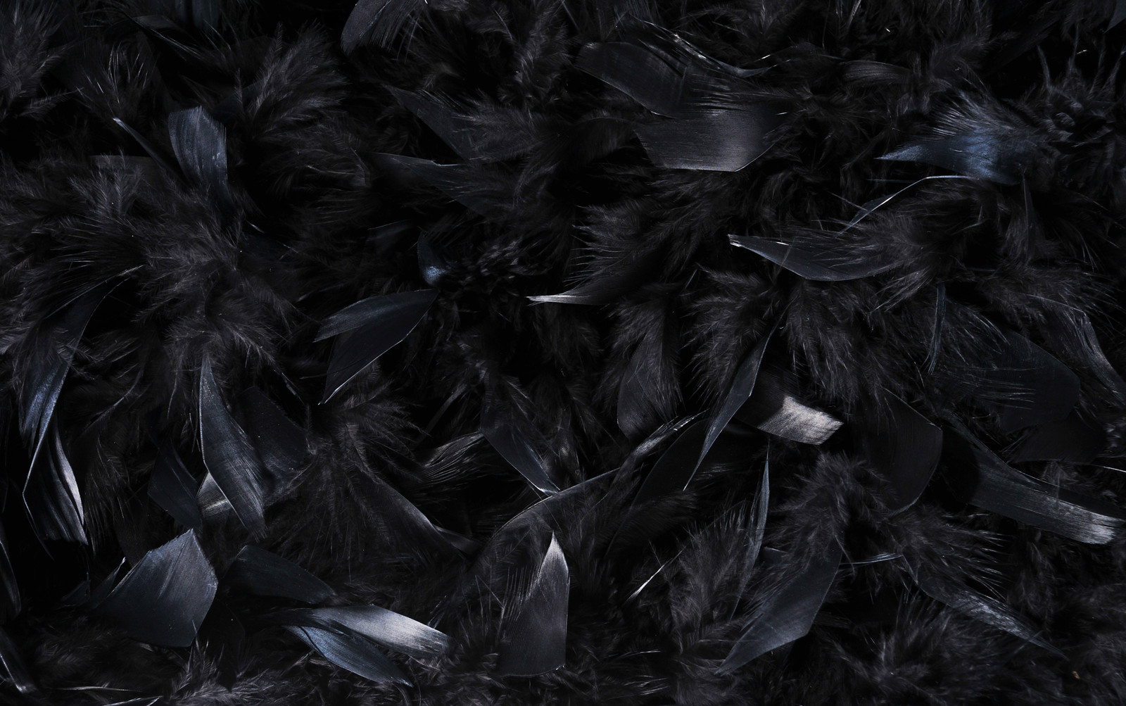 Dark Feathered Aloneness
