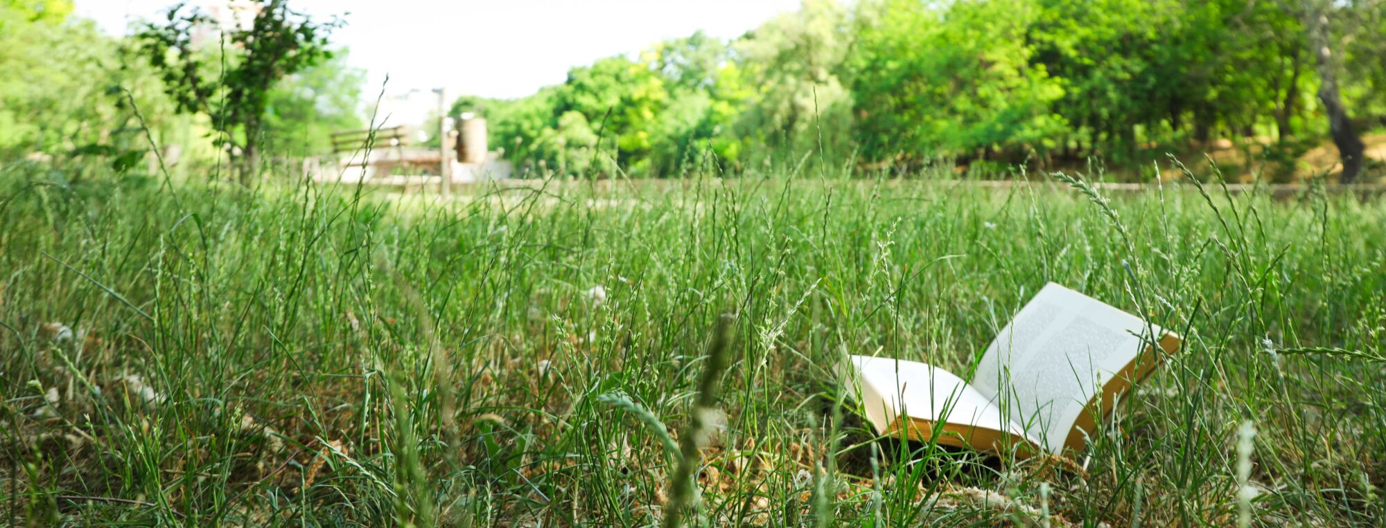 Book In Field